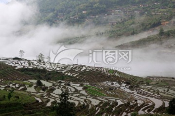 尤溪联合梯田