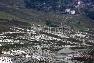 尤溪联合梯田