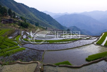 尤溪联合梯田