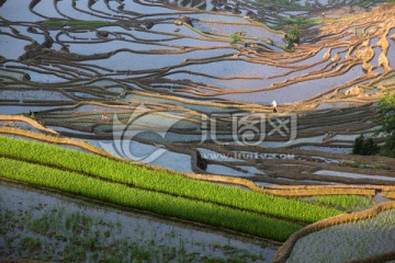 尤溪联合梯田