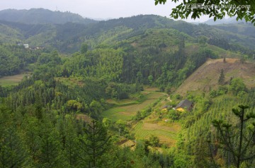 山里人家