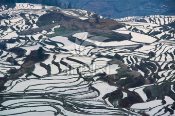 元阳梯田