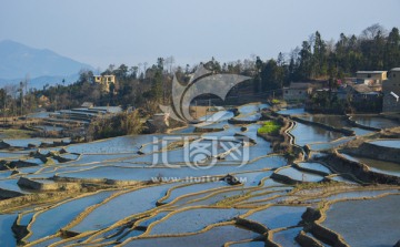 元阳梯田