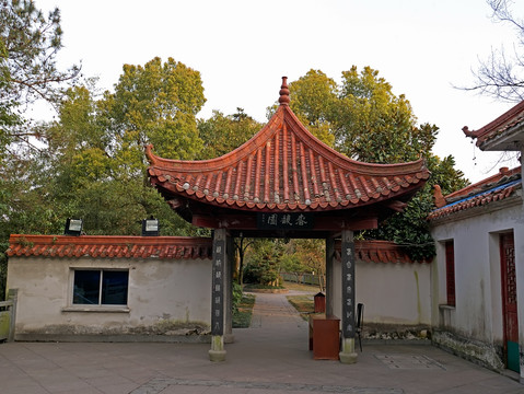 兰溪横山春馥园全景