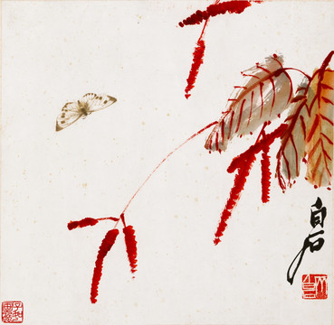 齊白石 紅蓼彩蝶圖