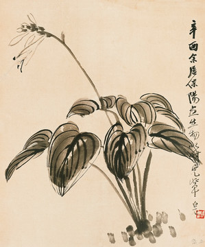 齊白石國(guó)畫