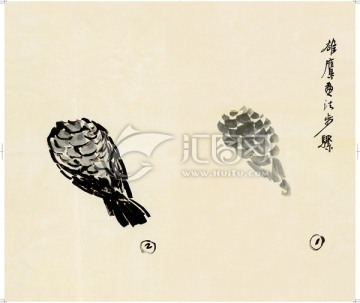 徐悲鴻冊(cè)頁(yè)之 雄鷹畫(huà)法