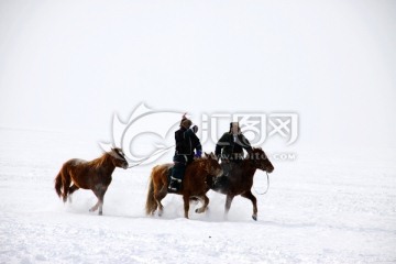 冬季雪地赛马