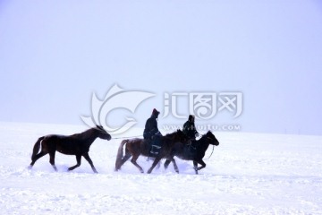 冬季雪地赛马