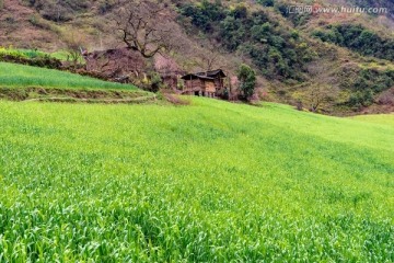 丙中洛雾里村