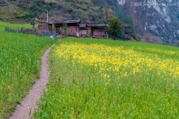 丙中洛雾里村