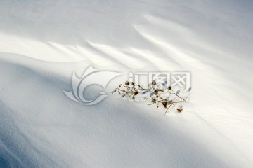 冬天 雪地