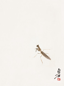齊白石 螳螂高清作品