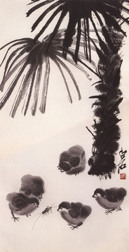 齊白石 棕櫚小雞