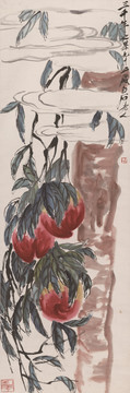 齊白石 桃實(shí)圖