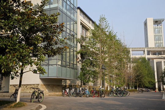 大学校园