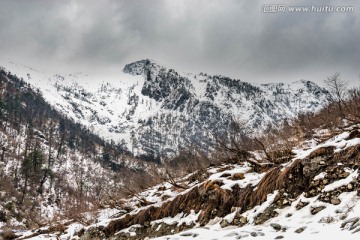 云南高黎贡山