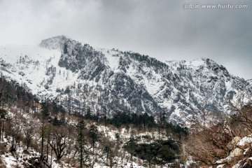 云南高黎贡山