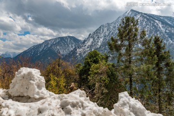 云南高黎贡山