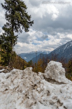 云南高黎贡山