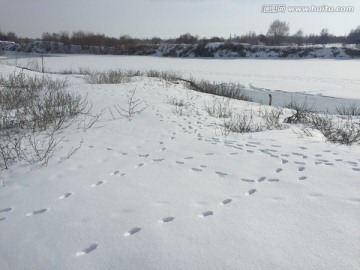 雪地足迹