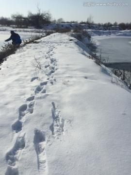 雪地足迹