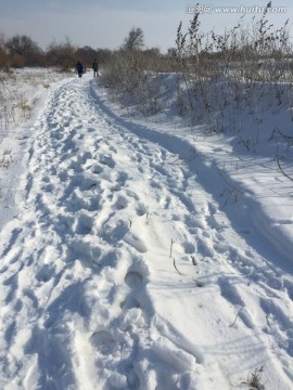 雪野 车辙 足迹