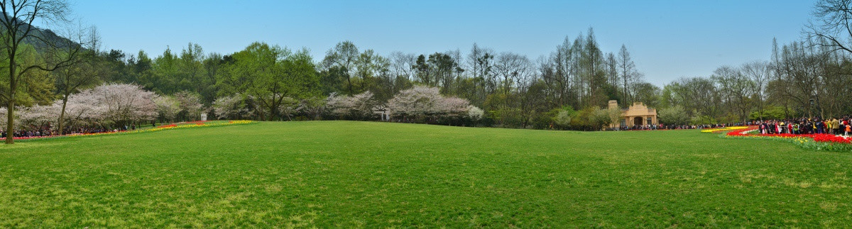 太子湾公园全景