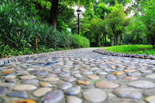 鹅卵石道路