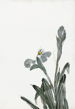 齊白石國(guó)畫(huà)