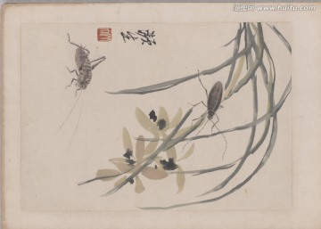 齊白石草蟲(chóng)原始掃描