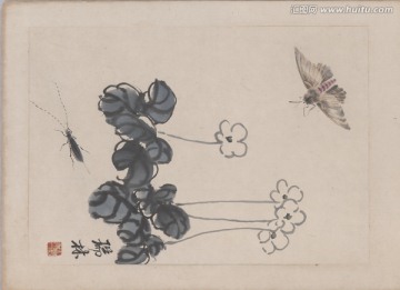 齊白石草蟲原始掃描