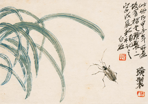 齊白石 花卉蟲草高清作品