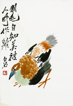 齊白石 雞鴨家禽高清作品