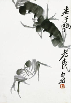 齊白石 花卉蟲草高清作品