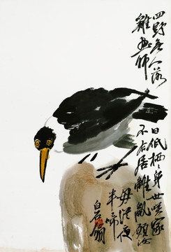 齊白石 禽鳥高清作品