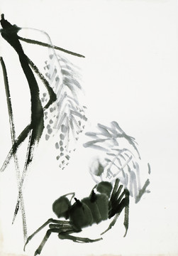 齊白石 花卉蟲鳥高清作品