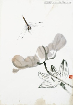 齊白石 蜻蜓花蟲(chóng)高清作品
