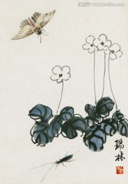齊白石 蝴蝶花高清作品