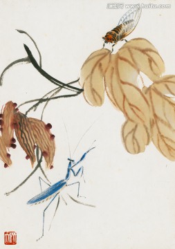 齊白石花蟲高清作品