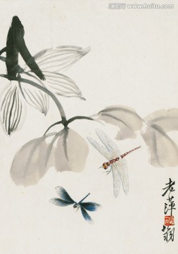 齊白石花蟲(chóng)高清作品