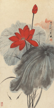 于非庵 荷花圖