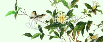 植物花鳥圖