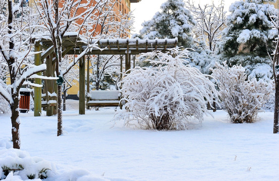 雪景