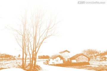 樹木 樹影