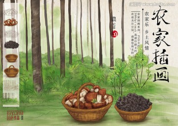 樹林 蘑菇 木耳 山林插畫