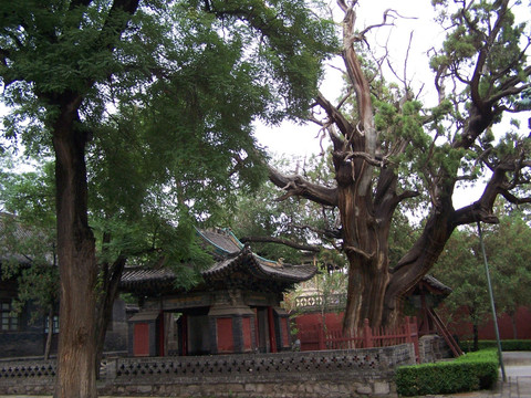 晉祠