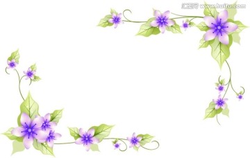 紫色花卉 花邊 花紋