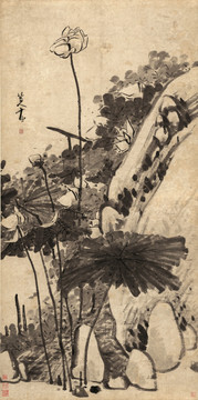 八大山人 墨荷圖 紙本