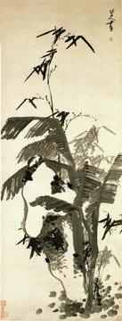 八大山人 芭蕉竹石圖 紙本